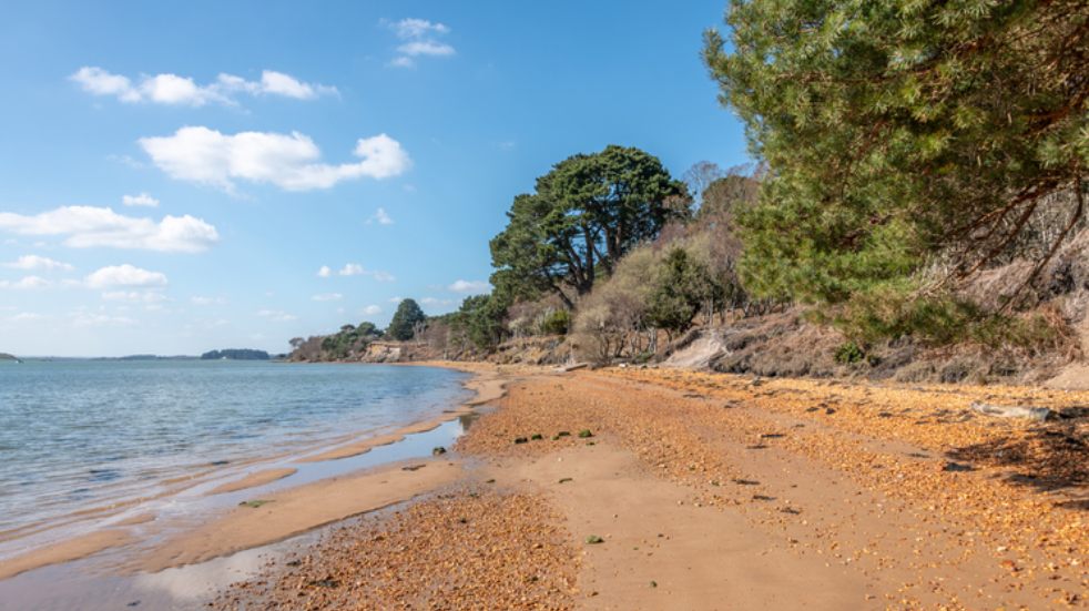 brownsea island